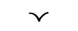 Edition Taube Logo